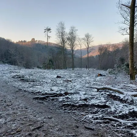 Au Pied De La Redoute